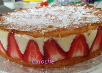 Fraisier (Catoche)