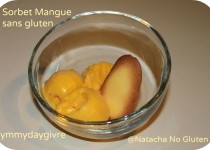 Sorbet Mangue – sans lait et sans gluten (Natacha)