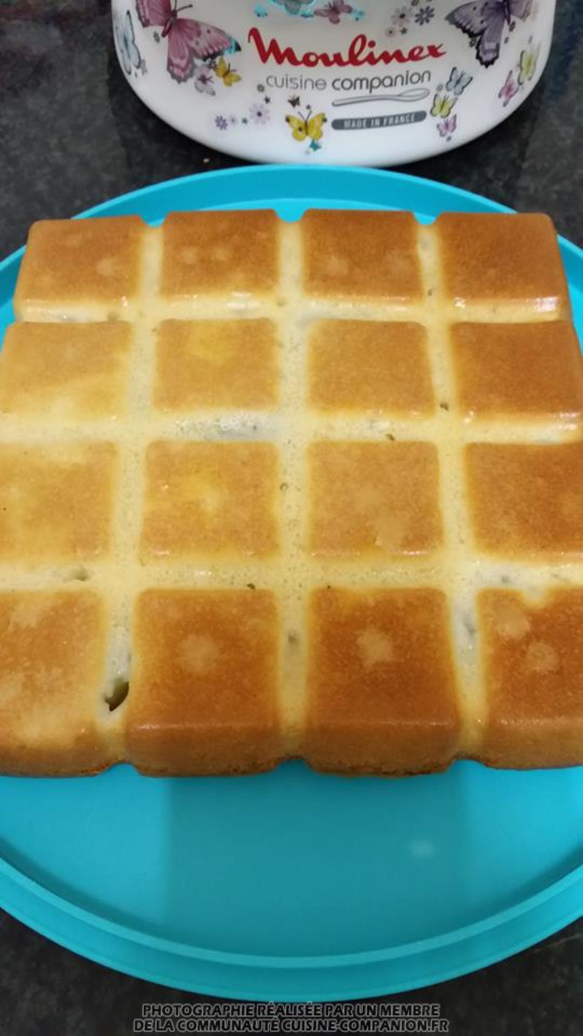 Gateau Au Yaourt Kiwi Et Fleur D Oranger Severines Recette Cuisine Companion